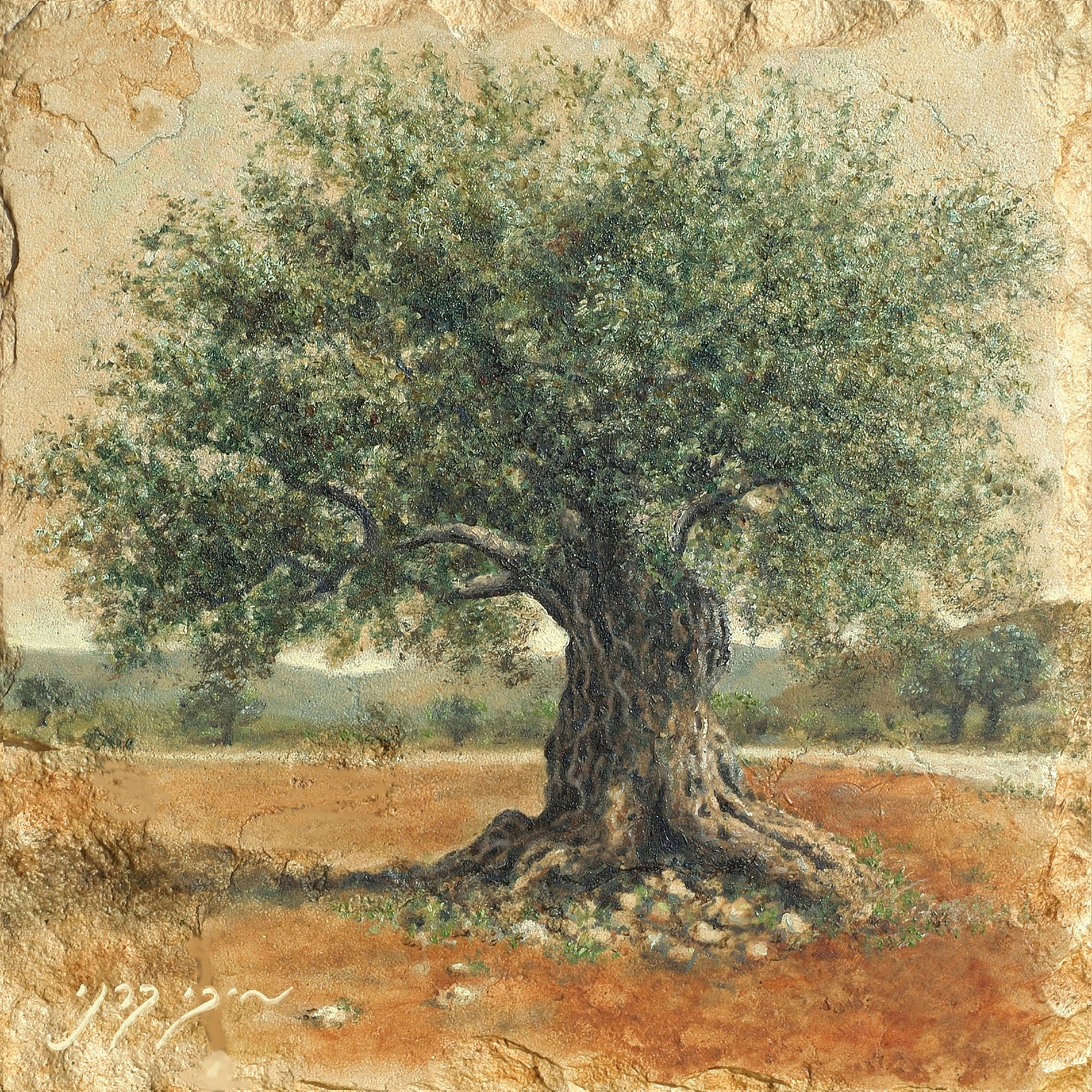 עץ זית עתיק מן הגליל מצויר ישירות על אבן טבעית, ושוליה ומרקמה הופכים לחלק מן הנוף.