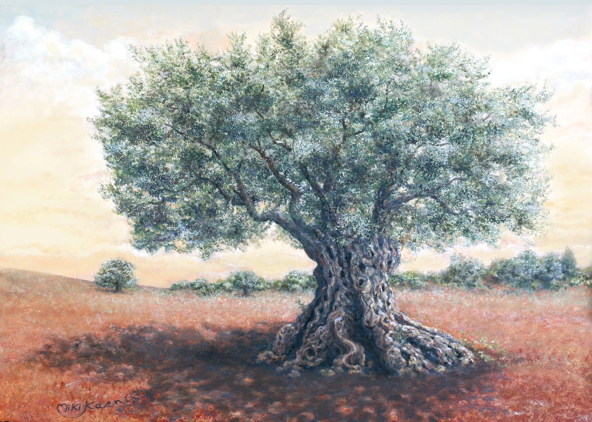 עץ זית בגוני ירוק־כסוף ניצב לבדו בשדה אדמדם וחם ומטיל צל עמוק ורחב.