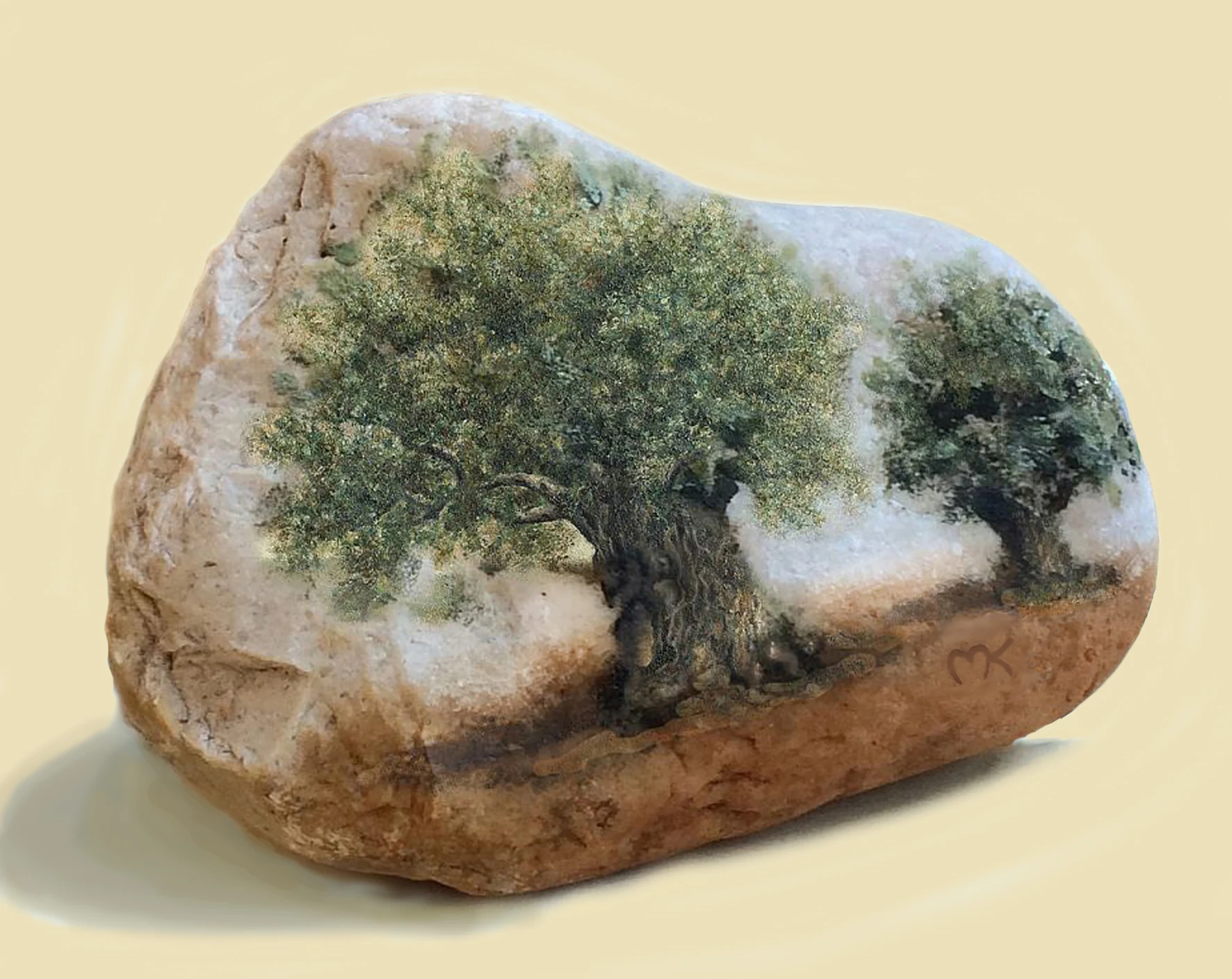 שני עצי זית עוקבים אחר הצורה המעוגלת והסימנים הטבעיים של אבן נחל.